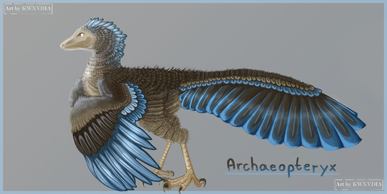 and an Archaeopteryx!